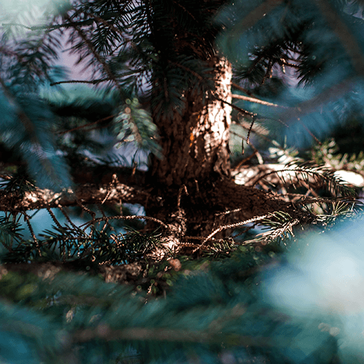 Vision 20/20 - Photo Essay